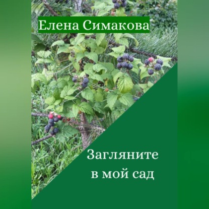 Загляните в мой сад — Елена Симакова