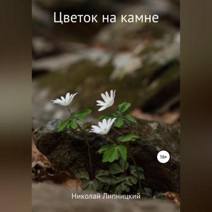 Цветок на камне — Николай Иванович Липницкий