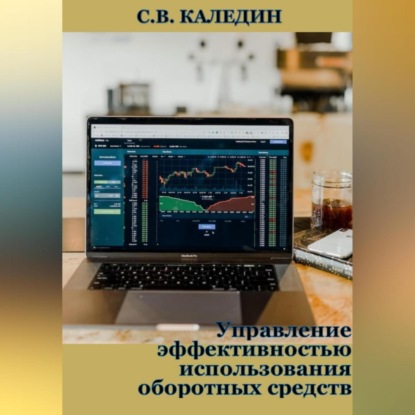 Управление эффективностью использования оборотных средств — Сергей Каледин
