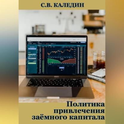 Политика привлечения заёмного капитала — Сергей Каледин