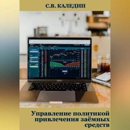 Управление политикой привлечения заёмных средств — Сергей Каледин
