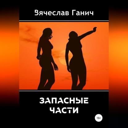 Запасные части — Вячеслав Ганич