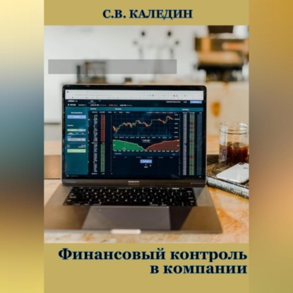 Финансовый контроль в компании — Сергей Каледин