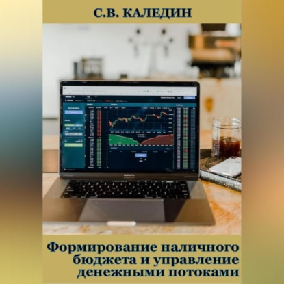 Формирование наличного бюджета и управление денежными потоками — Сергей Каледин