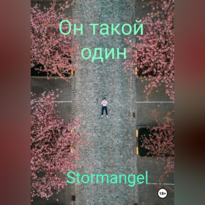 Он такой один — Stormangel