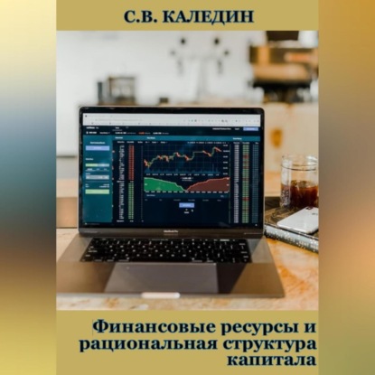 Финансовые ресурсы и рациональная структура капитала — Сергей Каледин
