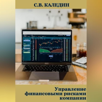 Управление финансовыми рисками компании — Сергей Каледин