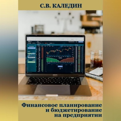 Финансовое планирование и бюджетирование на предприятии — Сергей Каледин