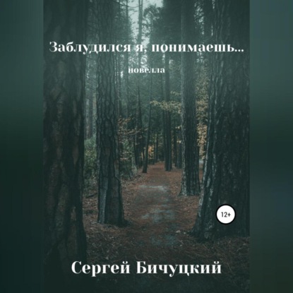 Заблудился я, понимаешь… — Сергей Марксович Бичуцкий