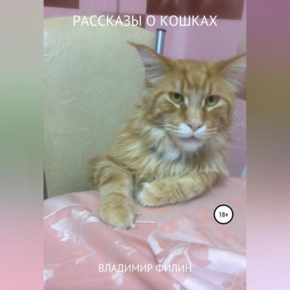 Рассказы о кошках — Владимир Иванович Филин