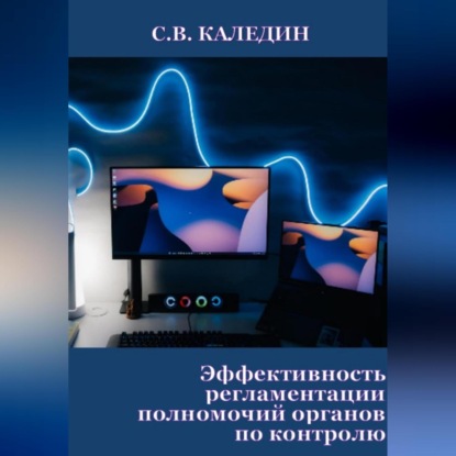Эффективность регламентации полномочий органов по контролю — Сергей Каледин