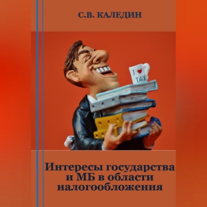 Интересы государства и МБ в области налогообложения — Сергей Каледин