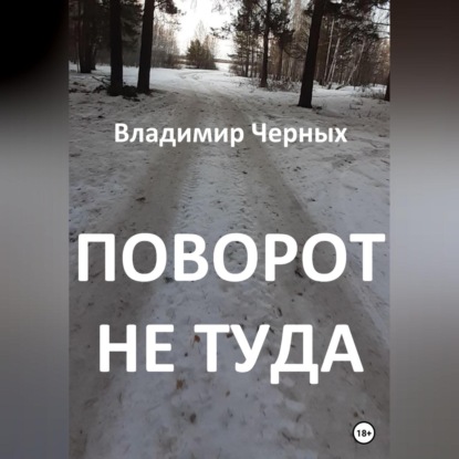 Поворот не туда — Владимир Романович Черных