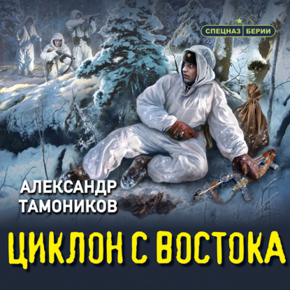 Циклон с востока — Александр Тамоников