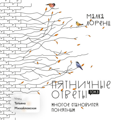 Пятничные ответы. Многое становится понятным. Том 3 — Малка Лоренц