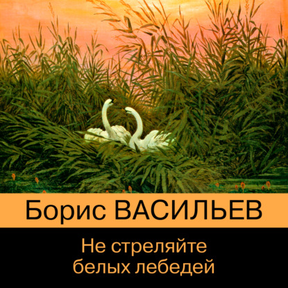 Не стреляйте белых лебедей — Борис Васильев