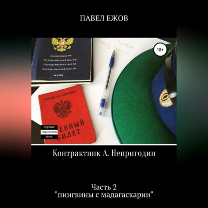 Контрактник А. Непригодин. Часть 2 — Павел Александрович Ежов