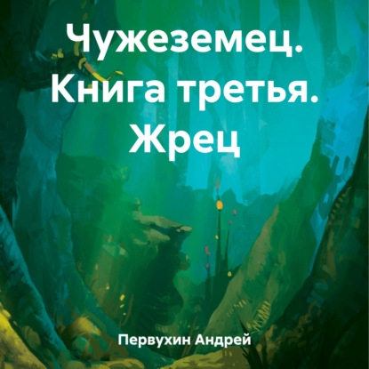 Чужеземец. Книга третья. Жрец — Андрей Евгеньевич Первухин